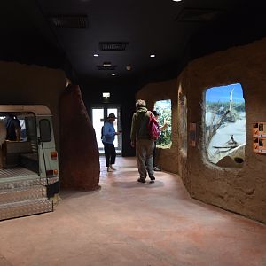 Hidden Savannah, Heart of Africa at Chester, 12th April 2025