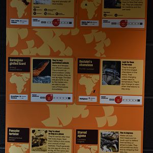Mixed Reptile Exhibit Signage in Hidden Savannah, Heart of Africa at Chester, 12th April 2025