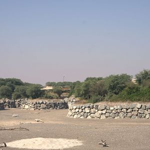 Elephant exhibit,  Niger Valley