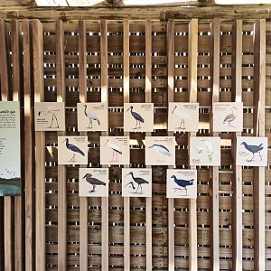 African Aviary signage