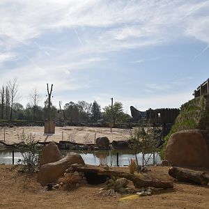 Porcupine and (Future) Fox Viewing on Lower Level, Heart of Africa at Chester, 12th April 2025