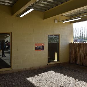 Porcupine and (Future) Fox Viewing on Lower Level, Heart of Africa at Chester, 12th April 2025