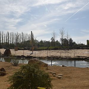 Porcupine and (Future) Fox Viewing on Lower Level, Heart of Africa at Chester, 12th April 2025
