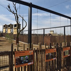 Vulture Viewing Area, Heart of Africa at Chester, 12th April 2025