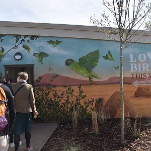 Indoor Lovebird Aviary, Heart of Africa at Chester, 12th April 2025