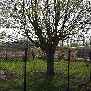 Unoccupied Enclosure, Heart of Africa at Chester, 12th April 2025