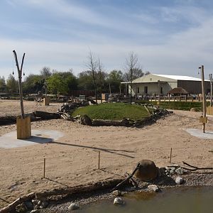 Main Savannah, Heart of Africa at Chester, 12th April 2025