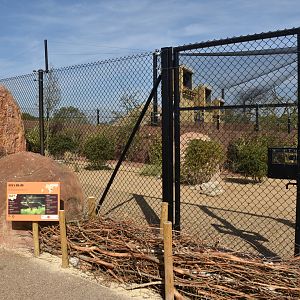 Second Dik-dik Enclosure, Heart of Africa at Chester, 12th April 2025