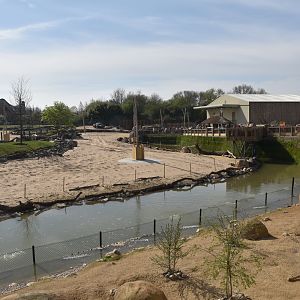 Porcupine and Fox Enclosures with Main Savannah, Heart of Africa at Chester, 12th April 2025