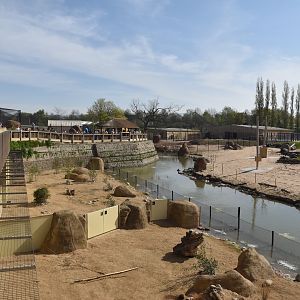 Porcupine and Fox Enclosures with Main Savannah, Heart of Africa at Chester, 12th April 2025