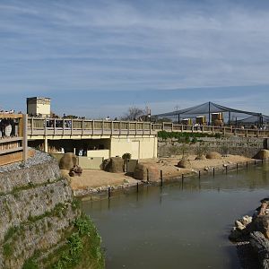 Porcupine and Fox Enclosures, Heart of Africa at Chester, 12th April 2025