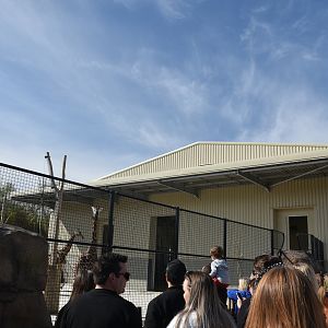 Giraffe House, Heart of Africa at Chester, 12th April 2025