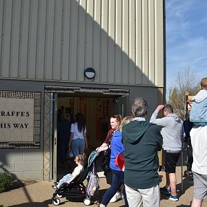 Giraffe House, Heart of Africa at Chester, 12th April 2025