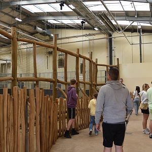 Giraffe House, Heart of Africa at Chester, 12th April 2025