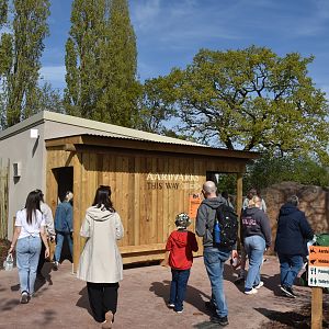 Aardvark Enclosure, Heart of Africa at Chester, 12th April 2025