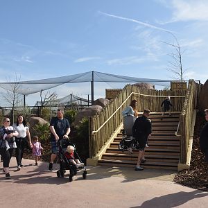 Central Plaza View, Heart of Africa at Chester, 12th April 2025