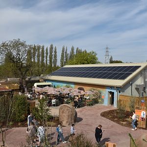 HIdden Savannah, Heart of Africa at Chester, 12th April 2025