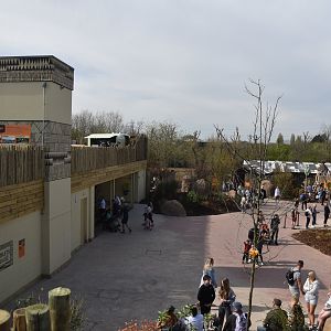 Central Plaza View, Heart of Africa at Chester, 12th April 2025