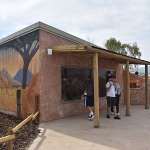 Entrance Mural and Meerkat House, Heart of Africa at Chester, 12th April 2025