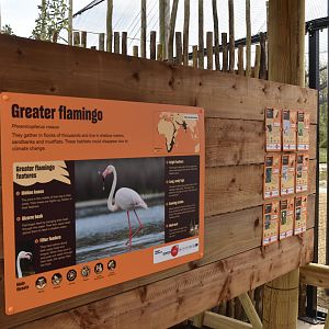 Wetland Aviary Signage, Heart of Africa at Chester, 12th April 2025
