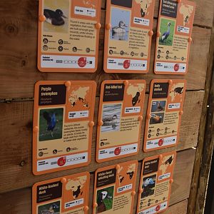 Wetland Aviary Signage, Heart of Africa at Chester, 12th April 2025