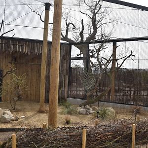Verreaux's Eagle Owl Aviary, Heart of Africa at Chester, 12th April 2025