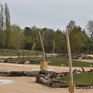 Main Savannah, Heart of Africa at Chester, 12th April 2025