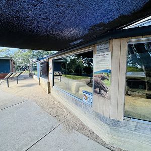 Komodo Dragon enclosures