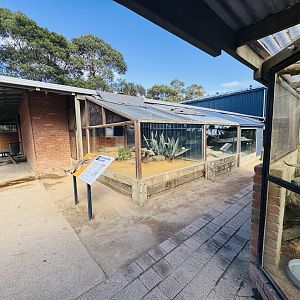 Rhino Iguana/tortoise enclosure