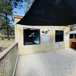 Giant tortoise building