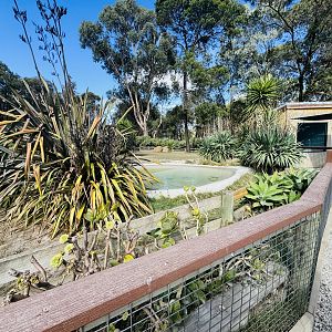 Giant tortoise enclosure