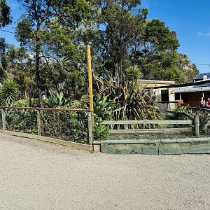 Giant tortoise enclosure