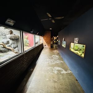 Reptile house general corridor