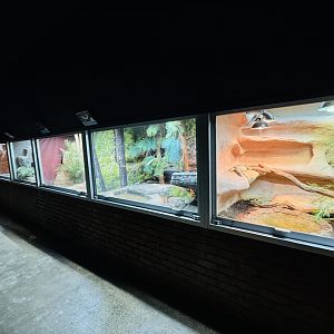 Reptile enclosures towards exit