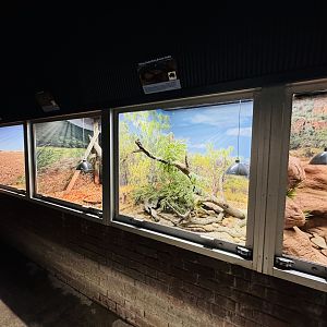 Australian snake enclosures