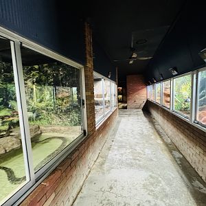Reptile house entrance corridor