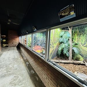 Reptile house - entrance snakes