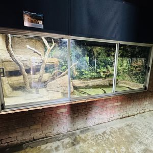 Burmese python enclosure