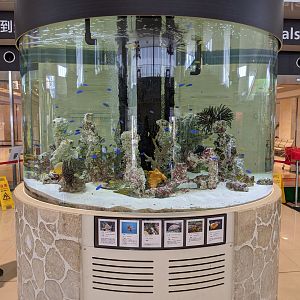 Tropical marine aquarium at Ishigaki Airport