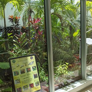 Butterfly enclosure at Ishigaki Airport