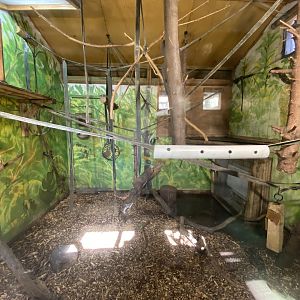 Indoor spider monkey enclosure