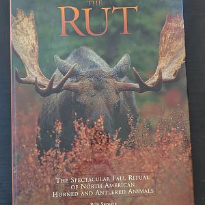 The Rut: The Spectacular Fall Ritual of North American Horned and Antlered Animals