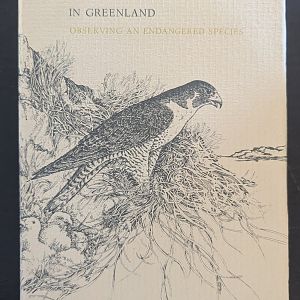 The Peregrine Falcon in Greenland: Observing and Endangered Species
