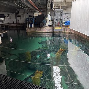 Monterey Bay Habitats Top View