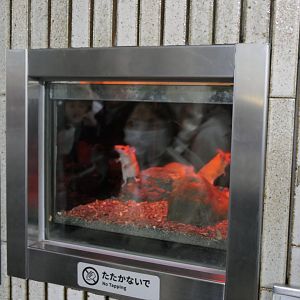 Cairo Spiny Mouse exhibit