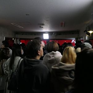 The Small Mammal House experience