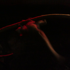 Demidoff's Dwarf Galago (Galagoides demidoff)