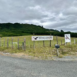 Wingspan - Road Signage