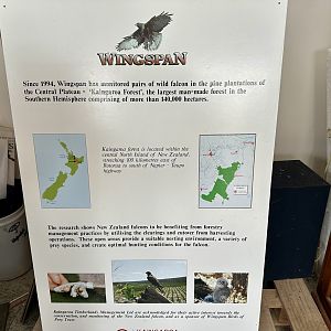 Wingspan Signage