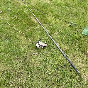 New Zealand Falcon Lure Pole